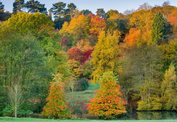 Winkworth Arboretum, United Kingdom